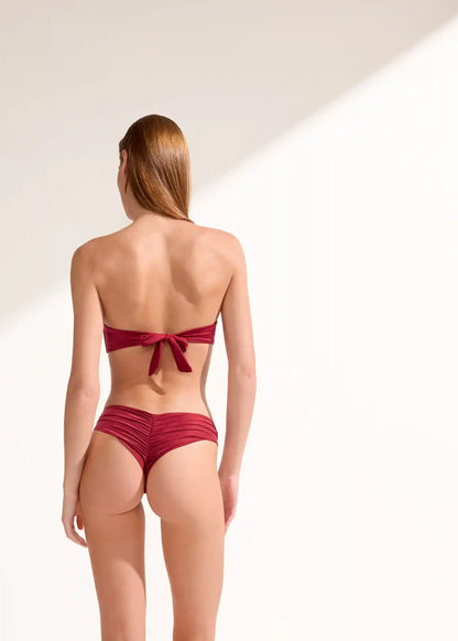 Shiny Satin Brazilian Bikini Bottoms